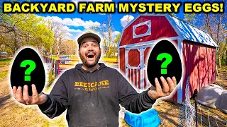 I Found GIANT MYSTERY EGGS in the BACKYARD!!! (Catch Clean Cook)