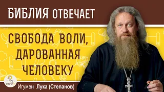 Что означает СВОБОДА ВОЛИ, дарованная человеку Богом ?  Игумен Лука (Степанов)