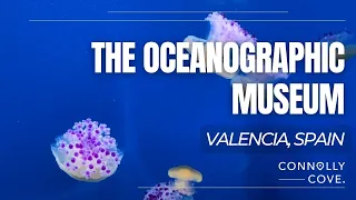 The Oceanographic Museum | Valencia | Spain | Spain Attractions | Things to Do in Spain