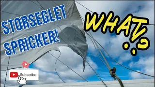 STORSEGLET SPRICKER och nya beslut fattas TILLS HAVS 😱 🌊 - Avsnitt 4 Sailing Lyra