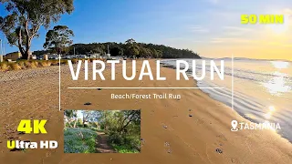 Virtual Run Kingston Beach - Forest Trail 4K - Treadmill Workout - Virtual Scenery - Tasmania