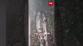 🐟 Затримали браконьєра, який наловив рідкісної риби на 100 тисяч гривень!
