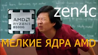 Ryzen 8500G. Что ты такое. Мелкие ядра zen4c от AMD