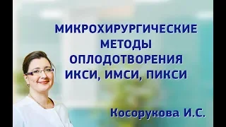 ИКСИ, ИМСИ, ПИКСИ. Микрохирургические методы оплодотворения.