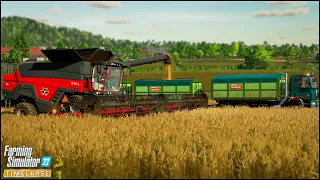 Harvesting Sorghum & Wheat. Combining Two Fields Into One | Zielonka Ep.52 | #FS22 PREMIUM EXPANSION