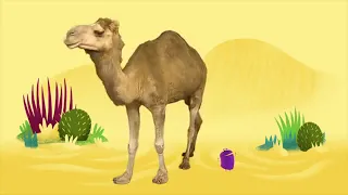 Animal Songs Walk Like a Camel, by StoryBots