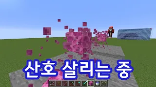 불멸의 산호(마인크래프트)