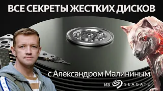 Все секреты жестких дисков с Александром Малининым (Seagate)