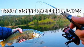 Fishing for HUNGRY Trout in California Mountain Lakes