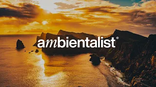 The Ambientalist - Back To Me