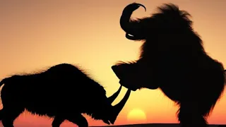 Mammoth vs wooly rhino