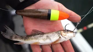 Bobber Fishing for GIANT PIKE!!