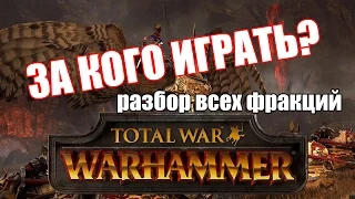 Какую фракцию выбрать в Total War: Warhammer?