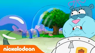 SpongeBob Schwammkopf | Sandy kann nicht atmen! | Nickelodeon