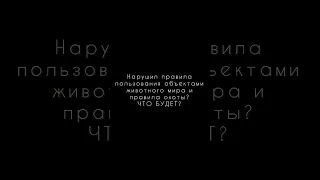 Нарушил правила охоты?