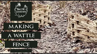 How to make a wattle fence. Fence of hazel cuttings. Basket weave in the garden. Baltic Gardening