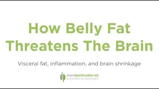 How Belly Fat Threatens the Brain