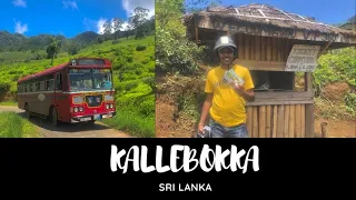 Kallebokka 360 view point #kallebokka #Matale #srilanka