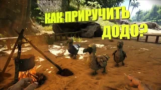 Как приручить Додо? И чем он полезен? | ARK: Survival Evolved | Гайд # 1