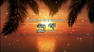 Deep Dish & BLR & Rave & Crave - Say Taj (VixBasse Mash Mix)