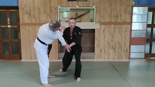 Hedodi Bunkai-kumite Nr. 1