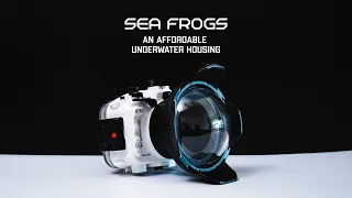 Sea frogs (Meikon) Underwater Housing For The Sony A7III/A7RIII | Comprehensive Product Review