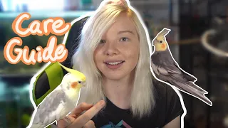 Cockatiel Care Guide