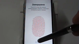 Отпечаток пальца в iPhone