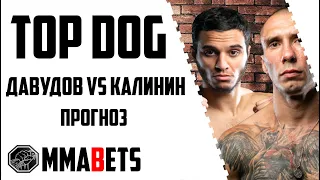 САМУРАЙ ДАВУДОВ - КРАТОС КАЛИНИН ПРОГНОЗ НА TOP DOG FC 14 | АНАЛИТИКА НА ТУРНИР TDFC 14 | MMABETS