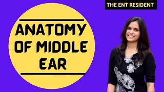 Anatomy of Middle Ear - Contents