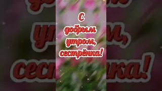 С добрым утром, сестренка!