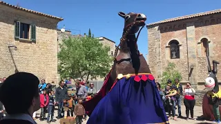 5 anys de la Mulassa de Girona - Cercavila de Mulasses de Catalunya, les Illes Balears i Occitània