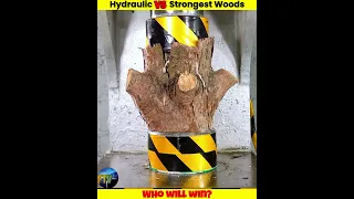 Hydraulic Press Vs Wood Of Different Countries #shorts #uniqueexperiment #whatif #मजेदारविडियो