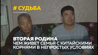 Как семья переселенцев из Китая живет в разрушающемся доме в Новоалтайске