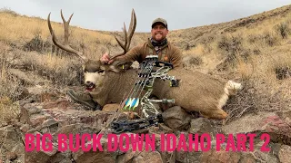 HUNTING PUBLIC LAND MULE DEER WITH A BOW PART 2 BIG BUCK DOWN!