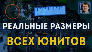 РЕАЛЬНЫЕ МАСШТАБЫ STARCRAFT II: Обзор терранов, зергов и протоссов