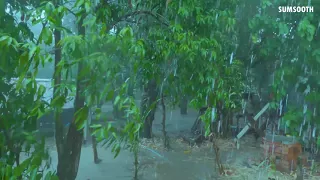 Heavy Rain In 4K!! Life in Cambodia