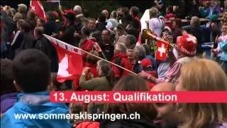 Sommerskispringen 2011