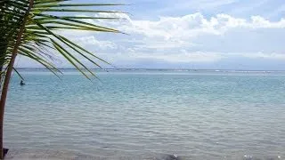 Boca Chica Beach, anto Domingo Province, Dominican Republic, North America