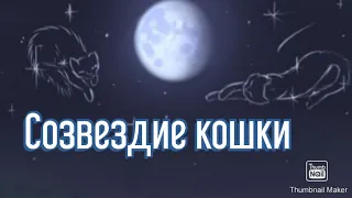 Коты воители. Клип Звёздное племя по заказу канала Сол КВ-Созвездие кошки