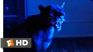 Cat People (1982) - Were-Leopard Attack Scene (7/10) | Movieclips