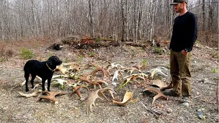 Maine Moose Shed Tour 2021 | Day 6