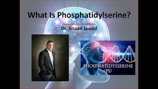 What Is Phosphatidylserine?