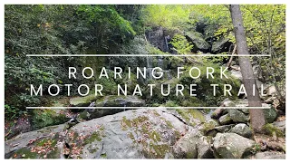 Roaring Fork Motor Nature Trail Great Smoky Mountains