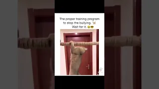 The proper training program to stop bullying. Wait till the end 😎#shorts #dog #cat #bullying #new