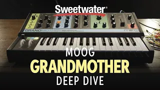 Moog Grandmother Deep Dive — Daniel Fisher