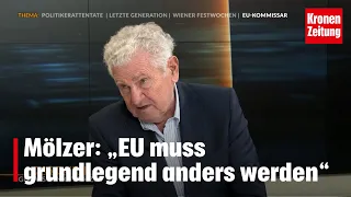 Mölzer: „EU muss grundlegend anders werden“ | krone.tv DAS DUELL