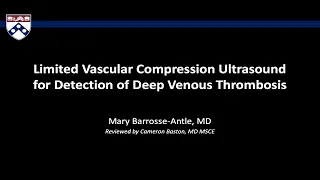 Limited Vascular Compression Ultrasound for Detection of DVT - BAVLS