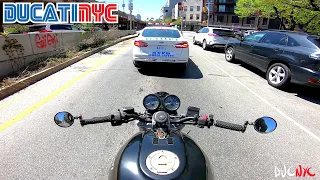 wild life - FULL YEAR of working from home - Ducati NYC Vlog v1446