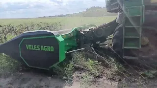 Молотимо соняшник John Deere 2264 + соняшникова Велес-Агро СХ-6